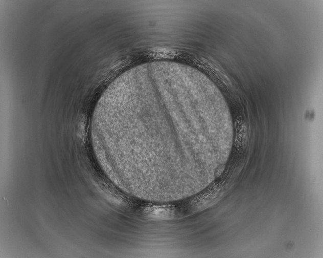 X0000097290655200803141511