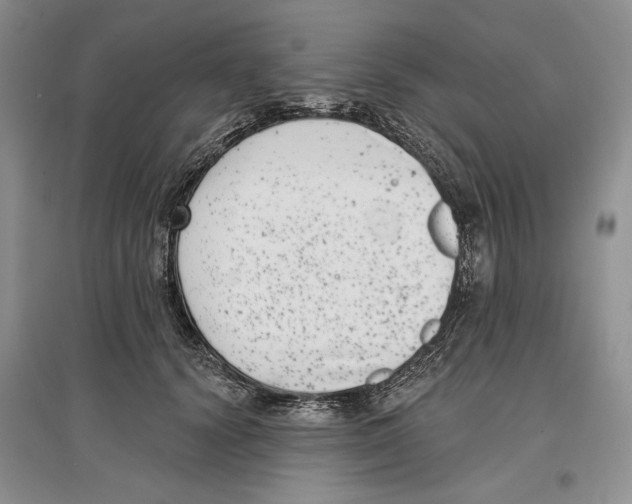 X0000097290656200803141511