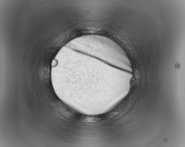 X0000097290657200803141511