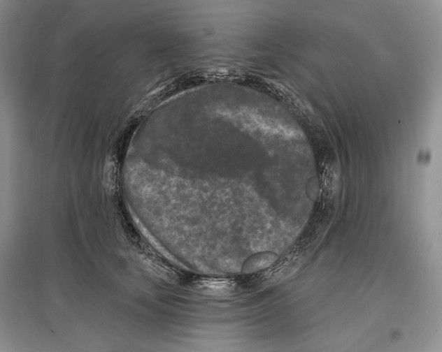 X0000097290659200803141511