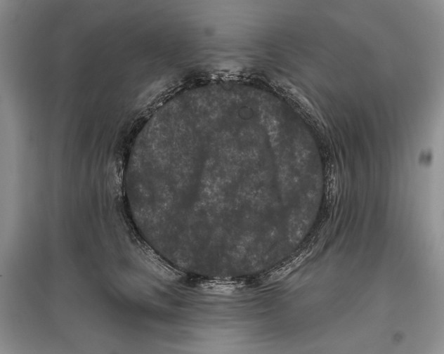 X0000097290661200803141511