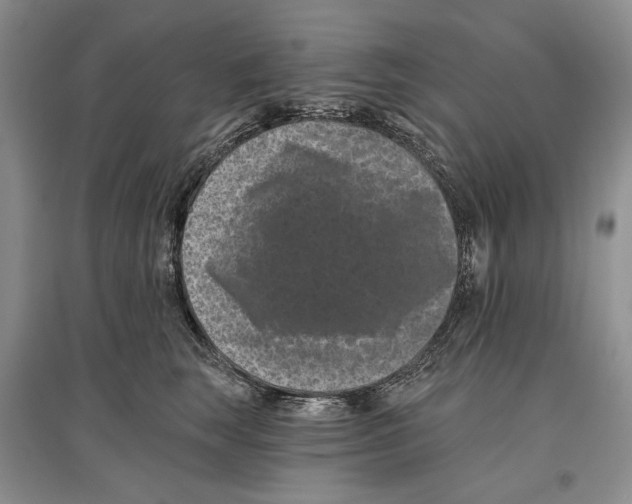 X0000097290663200803141511