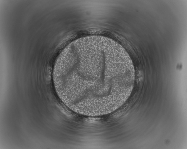 X0000097290664200803141511