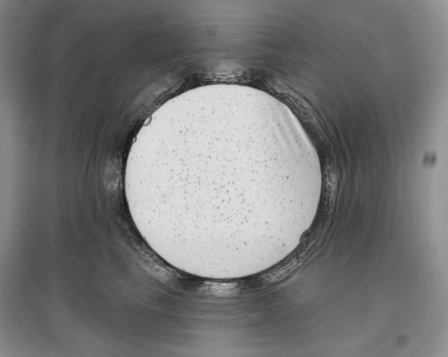 X0000097290665200803141512