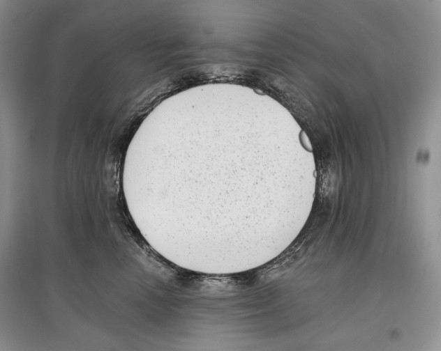 X0000097290666200803141512