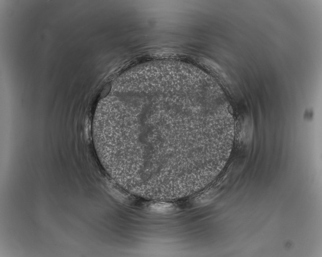 X0000097290669200803141512