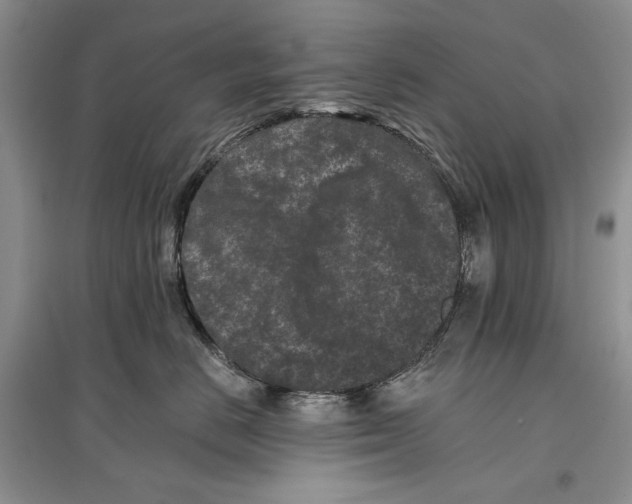 X0000097290670200803141512