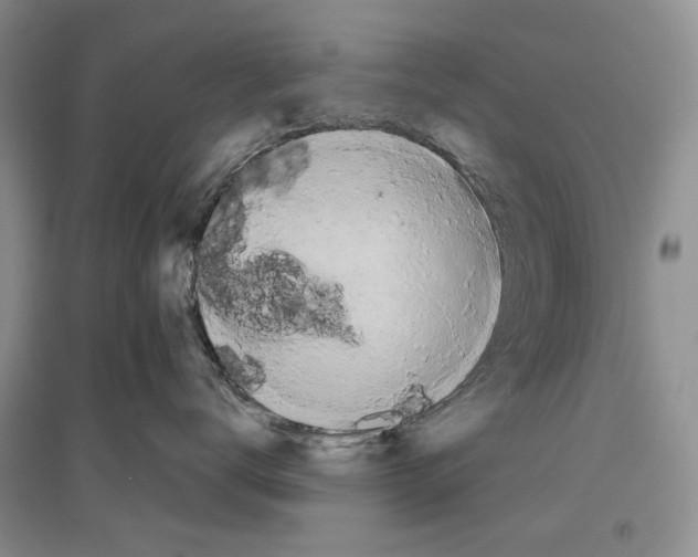 X0000097290672200803141512