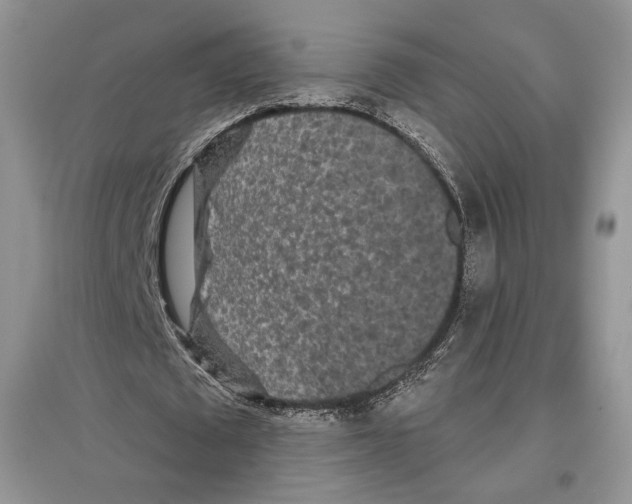 X0000097290673200803141511