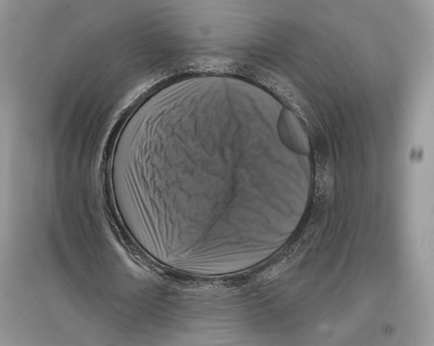 X0000097290674200803141511