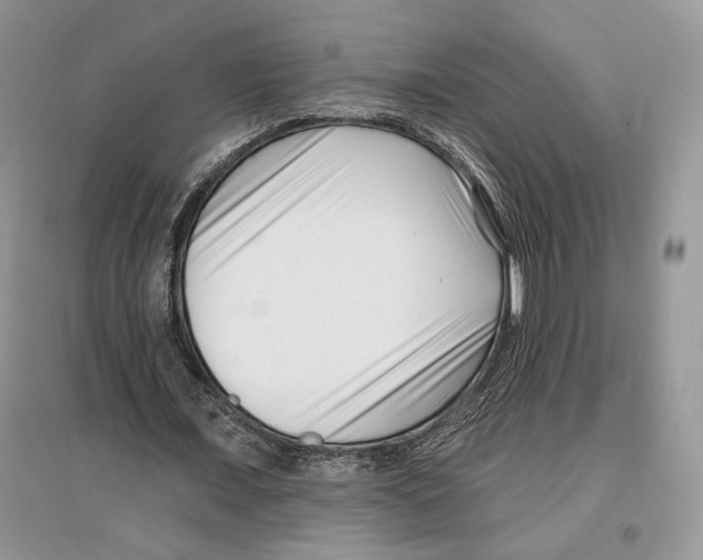 X0000097290675200803141511