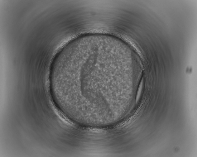 X0000097290677200803141511