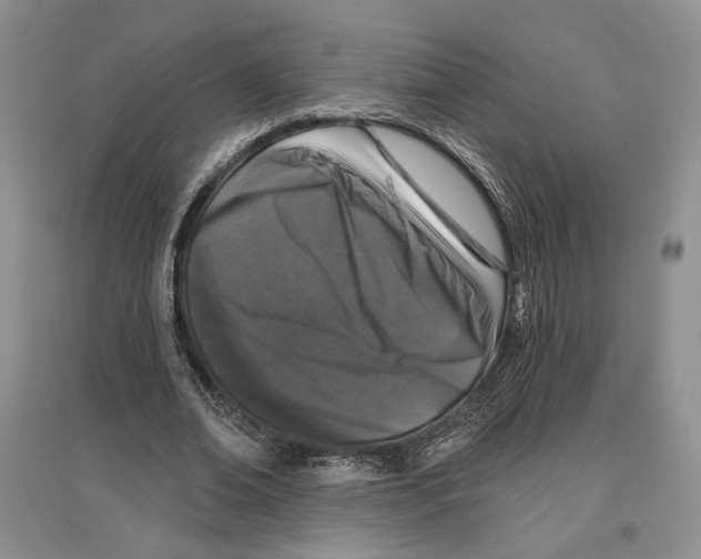 X0000097290678200803141511