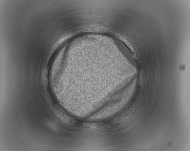 X0000097290679200803141511