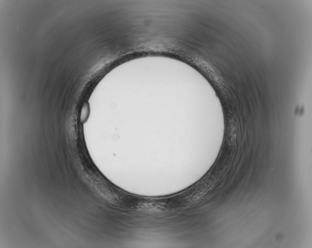 X0000097290680200803141511