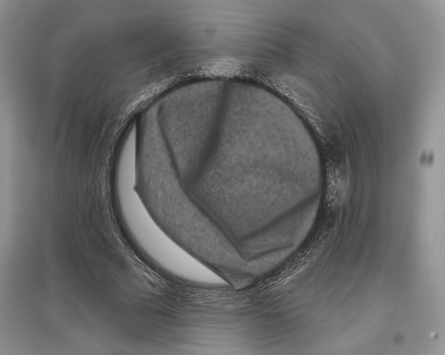 X0000097290681200803141511