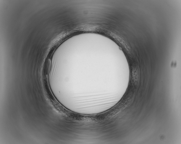 X0000097290682200803141511