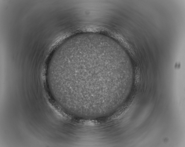 X0000097290683200803141511