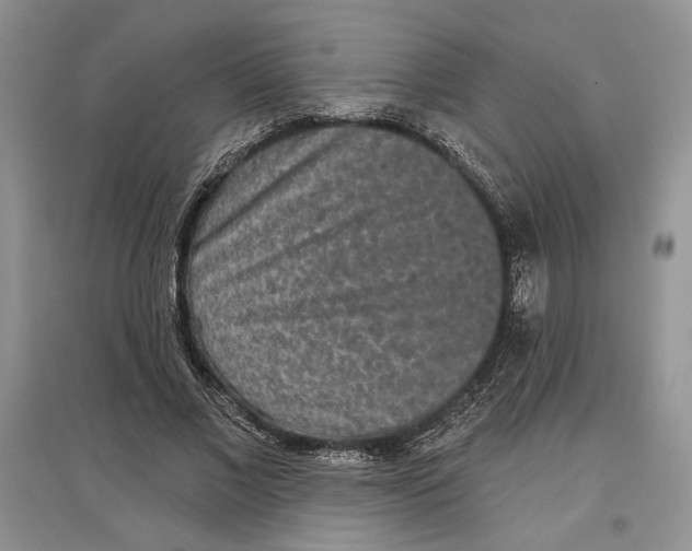 X0000097290685200803141511