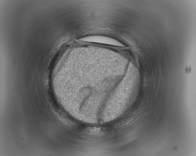 X0000097290687200803141511