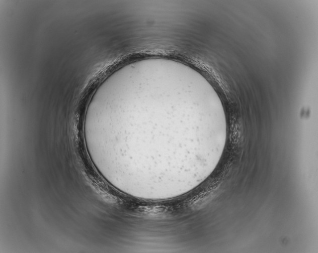 X0000097290688200803141511