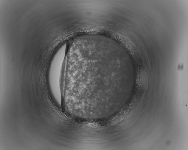 X0000097290689200803141511