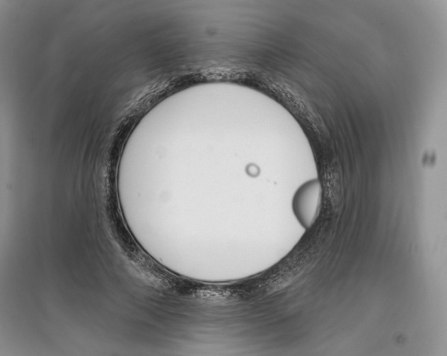 X0000097290690200803141511