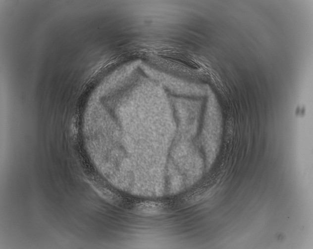 X0000097290691200803141511