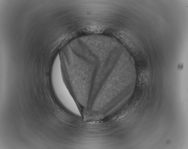 X0000097290693200803141511