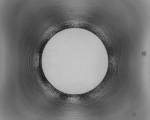 X0000097290694200803141511