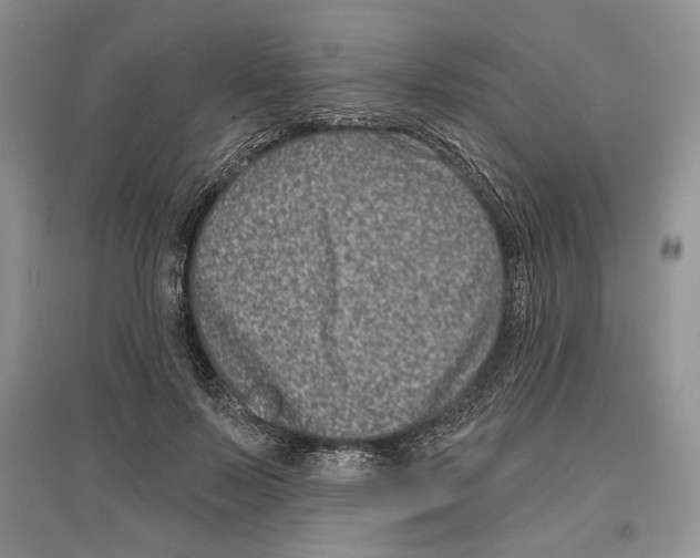 X0000097290695200803141511