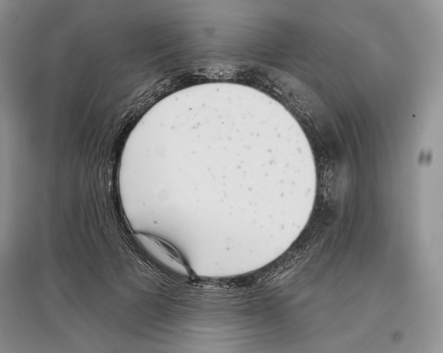 X0000097290697200803141511