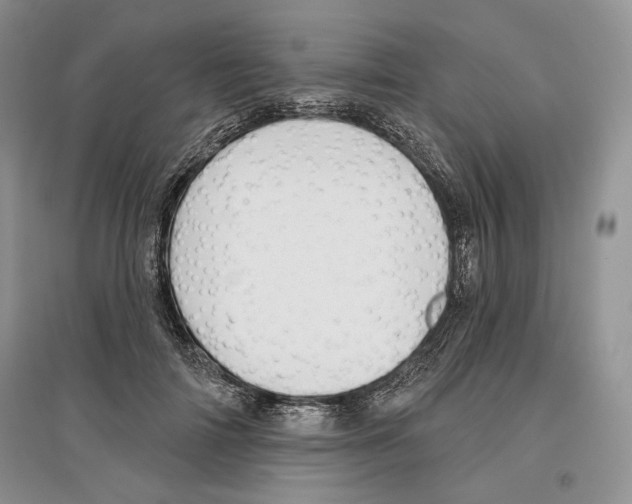 X0000097290698200803141511