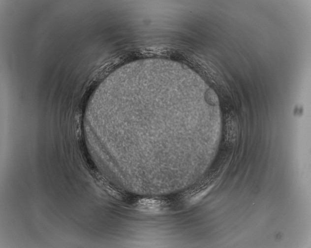 X0000097290699200803141511