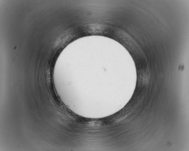 X0000097290700200803141511