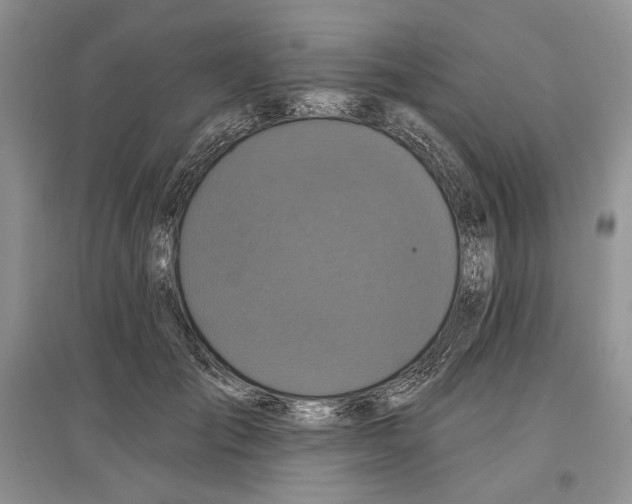 X0000097290701200803141511