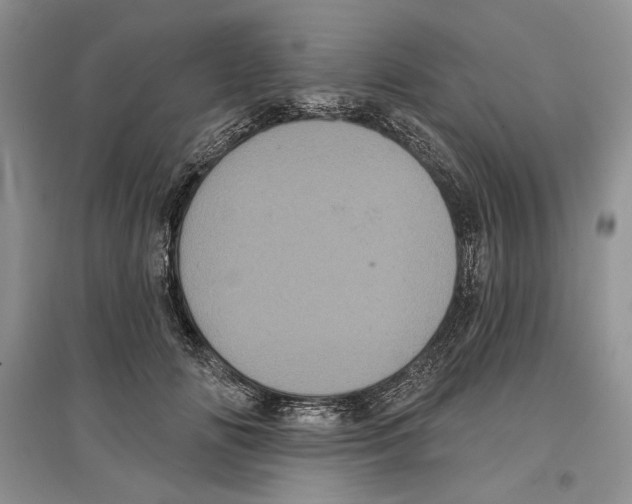 X0000097290702200803141511