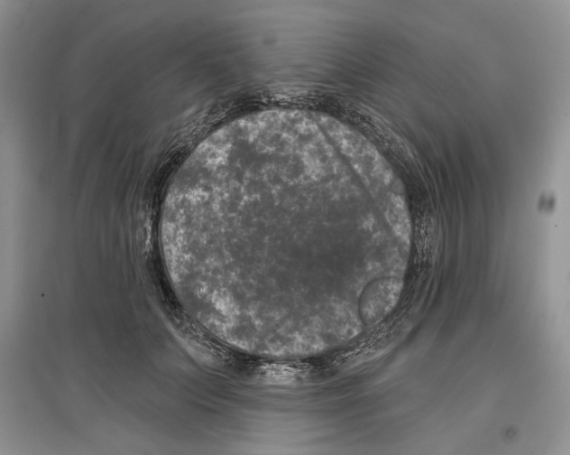 X0000097290703200803141511