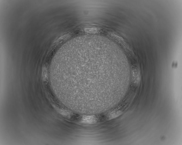 X0000097290705200803141511