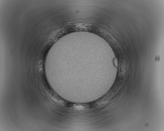 X0000097290706200803141510