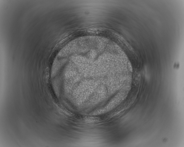 X0000097290707200803141510