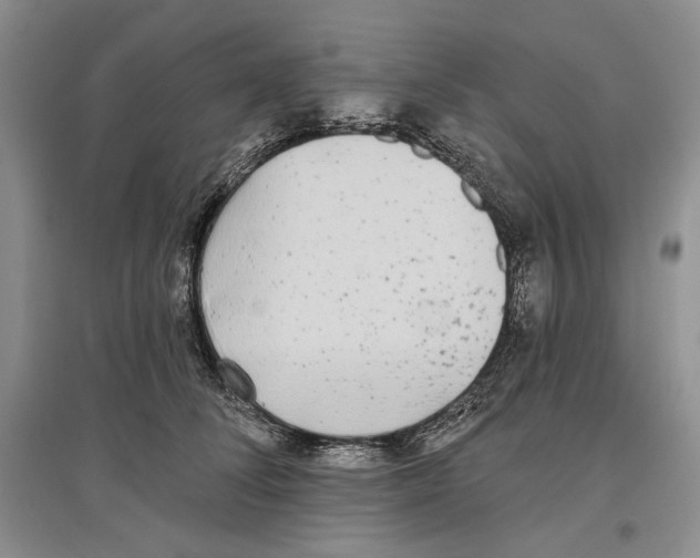 X0000097290708200803141510