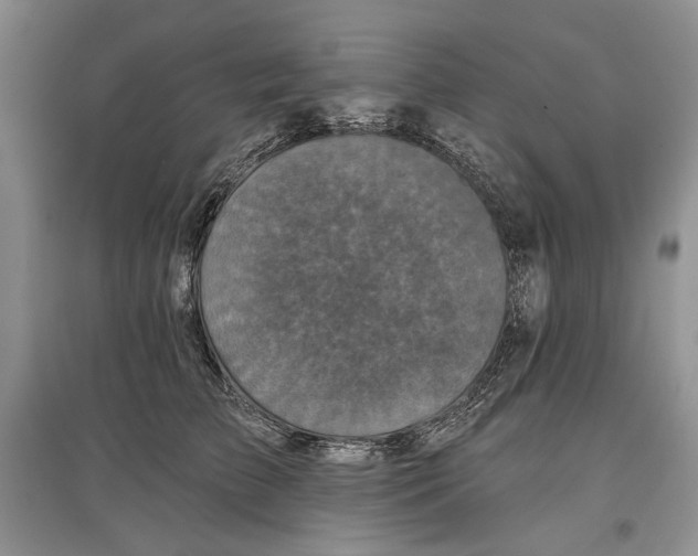 X0000097290709200803141510