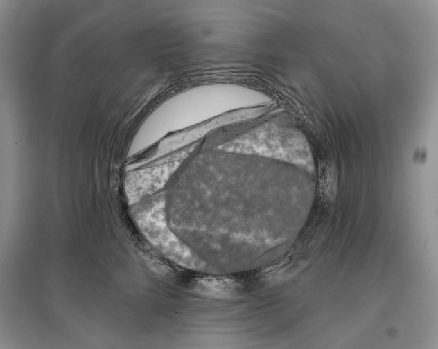 X0000097290712200803141510