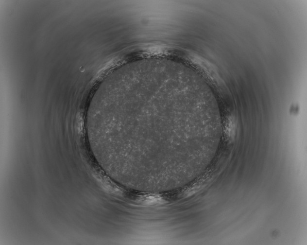 X0000097290715200803141510