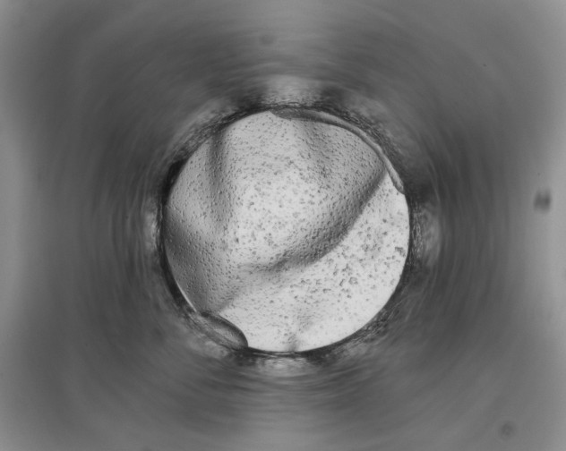 X0000097290716200803141510