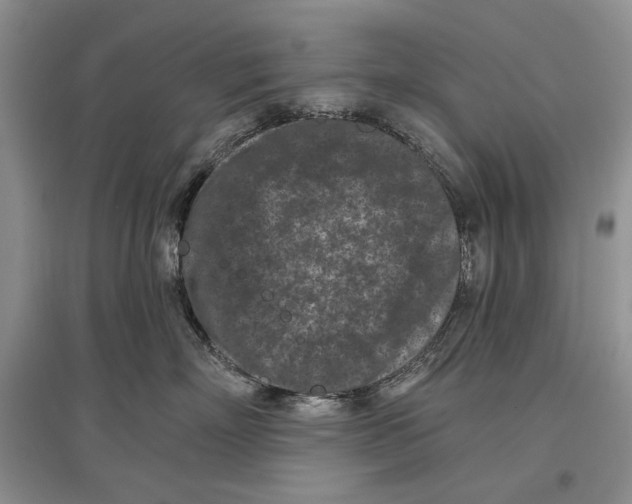 X0000097290718200803141510