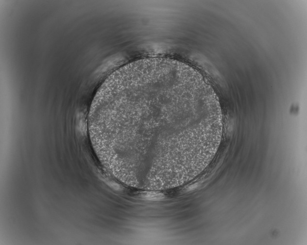 X0000097290719200803141510