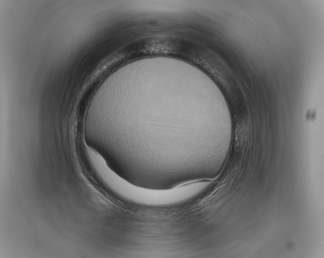 X0000097290722200803141510