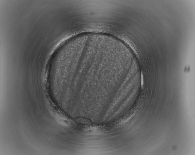 X0000097290723200803141510